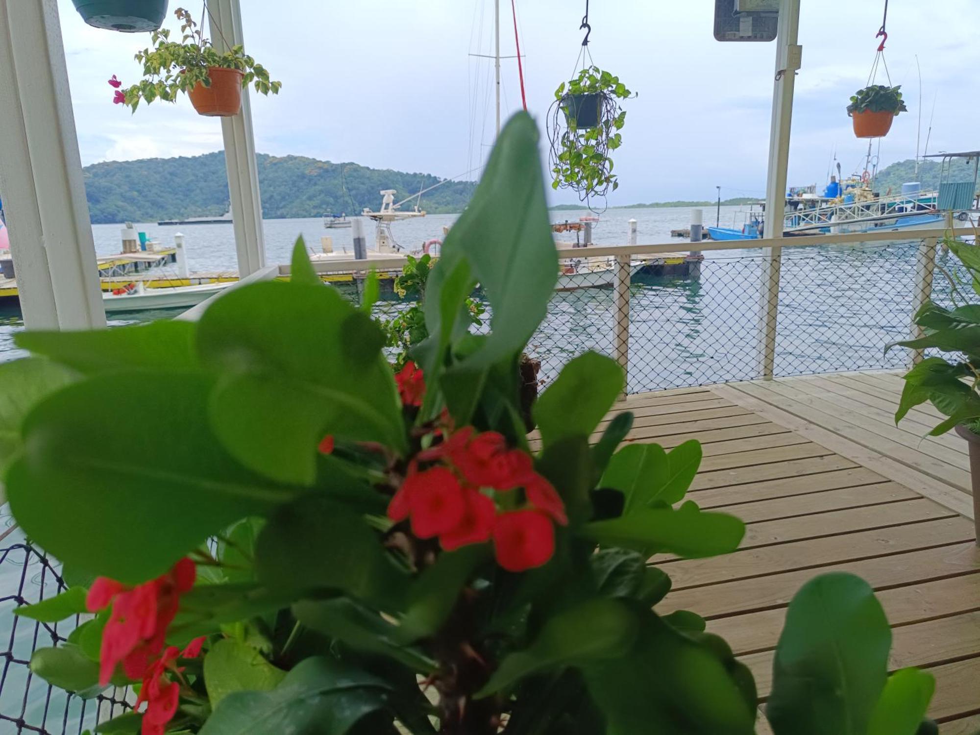 Banana Bay Marina Hotel Golfito Exterior photo